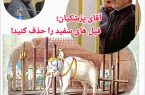 آقای پزشکیان؛ فیل های سفید را حذف کنید!