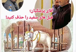 آقای پزشکیان؛ فیل های سفید را حذف کنید!