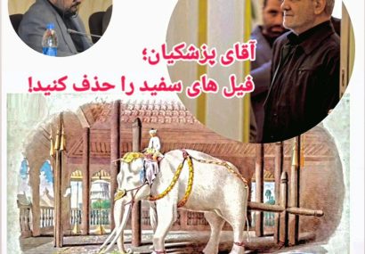 آقای پزشکیان؛ فیل های سفید را حذف کنید!