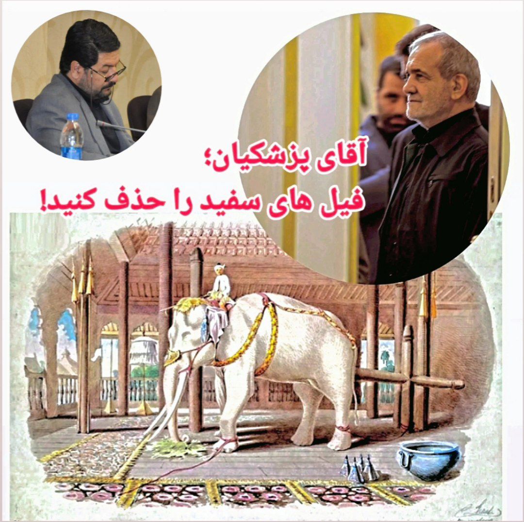 آقای پزشکیان؛ فیل های سفید را حذف کنید!