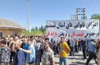 تجمع نانوایان در برخی شهرها؛ قتل در ملکان بخاطر صف نان!