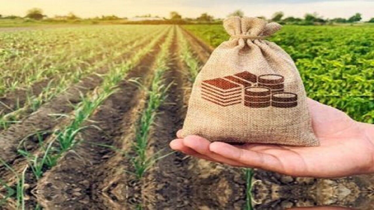 بی‌اعتمادی کشاورزان به بیمه محصولات در آذربایجان شرقی؛ زنگ خطر برای امنیت غذایی