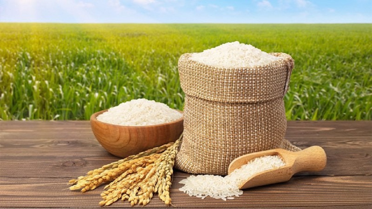 کاهش قیمت برنج تا دو هفته آینده 