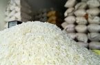 تولید برنج در آذربایجان‌شرقی به ۲۵ هزار تن می‌رسد | وعده شکوفایی در سایه بحران آب