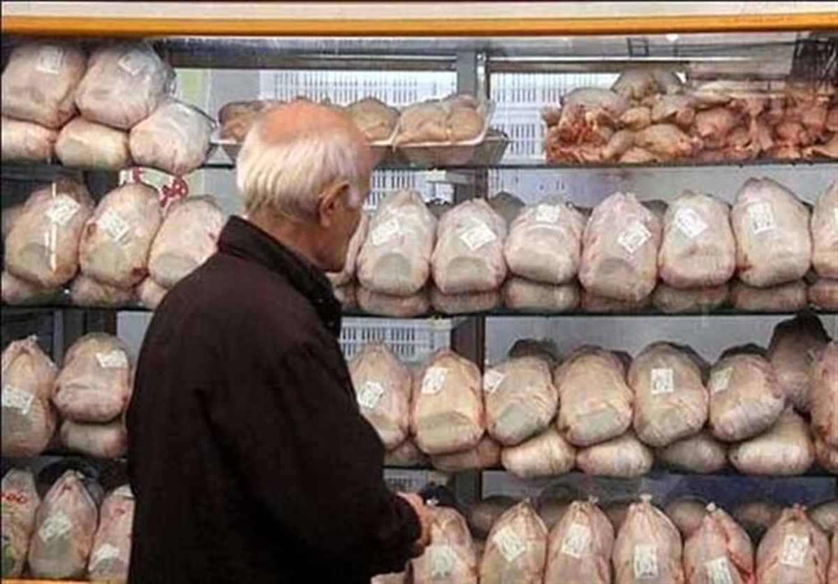 کاهش قیمت مرغ در بازار ایران تا ۳ روز آینده؛ پیش‌بینی قیمت گوشت مرغ