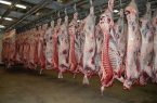 توزیع گوشت وارداتی با قیمت زیر ۷۰۰ هزار تومان از هفته آینده
