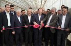 گلخانه مدرن ۱۰ هکتاری کشت و صنعت آذربایجان خاوری در شبستر افتتاح شد