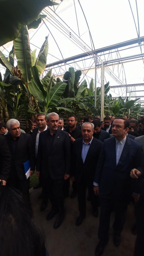 بازدید و افتتاح چهار پروژه مهم در منطقه آزاد ارس توسط وزیر اقتصاد