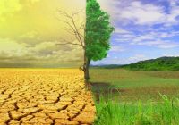 آذربایجانشرقی در نقطه حساس اقلیمی؛ ضرورت بازطراحی الگوی کشت