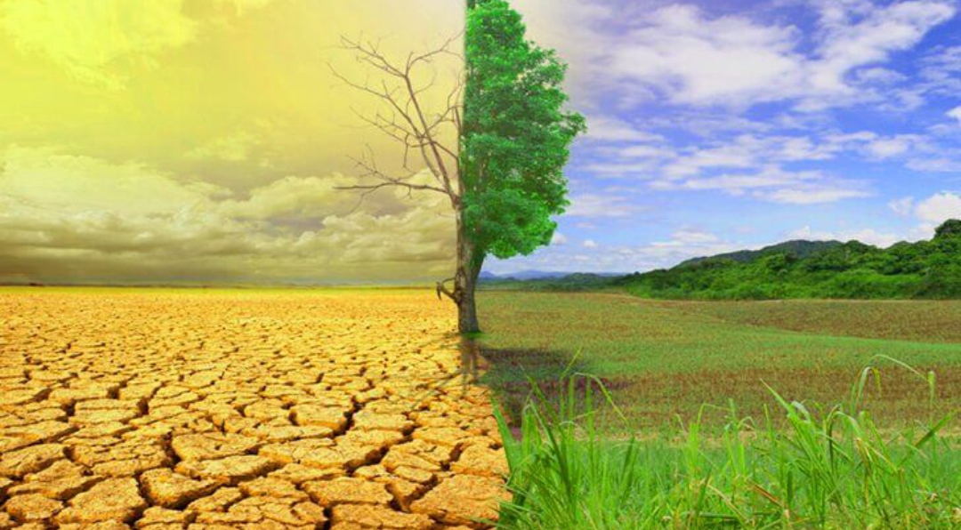 آذربایجانشرقی در نقطه حساس اقلیمی؛ ضرورت بازطراحی الگوی کشت