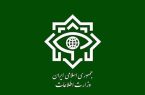 وزارت اطلاعات: ۲۵ مزدور دشمن دستگیر شدند