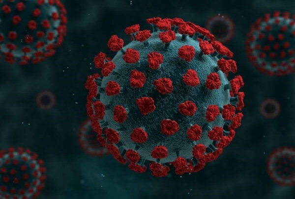 سویع جدید کرونا در کشور وجود ندارد