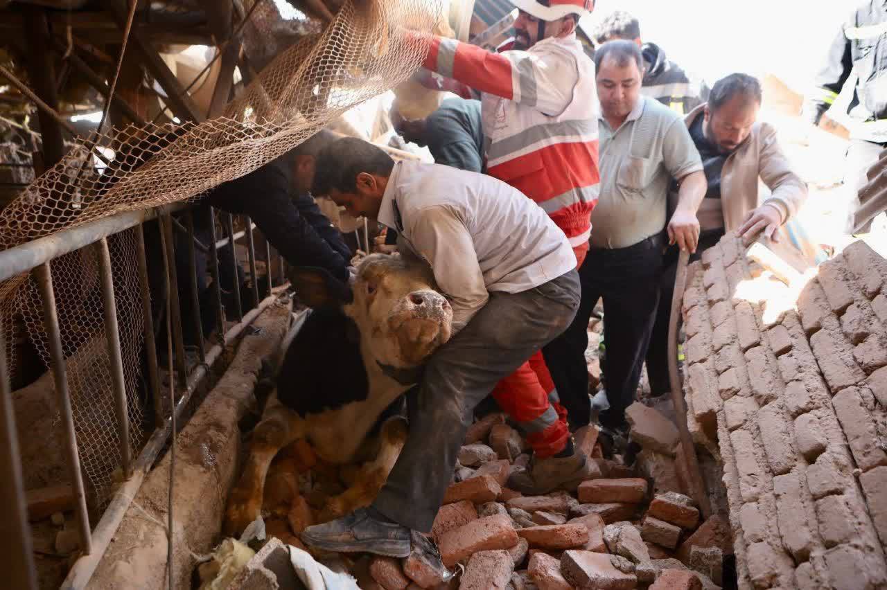 شهادت یک نفر در اثر حمله به یک منطقه غیرنظامی در خسروشاه