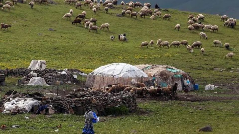 اختصاص ۴۲۰ میلیارد ریال برای پایان تنش آبی در ییلاقات اهر / سهم ۲۳ درصدی عشایر در تأمین گوشت منطقه