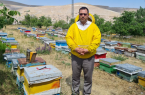 رتبه دوم آذربایجان‌شرقی با تولید ۱۵ هزار تن عسل