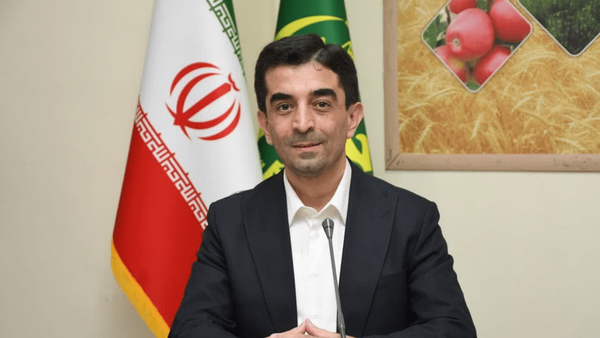 تولید ۱۲۰ هزار تن گوشت مرغ در آذربایجان‌شرقی