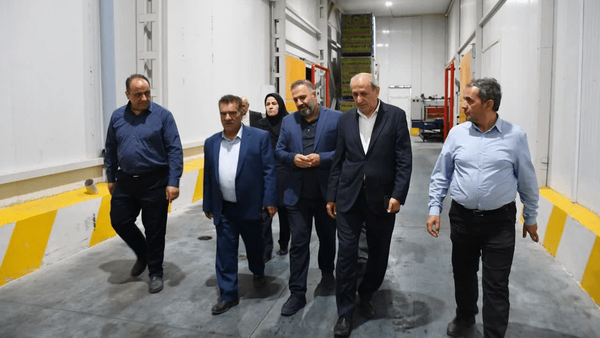 تبدیل شدن آذربایجان شرقی به پایگاه صادرات خرمای فرآوری‌شده با ۳۳ واحد فعال