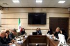 ضرورت هم افزایی دستگاه‌های اجرایی برای حمایت از زوج‌های نابارور