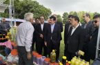 سراب؛ قطب تولید شیر و عسل آذربایجان شرقی/ ضرورت تکمیل زنجیره ارزش محصولات دامی