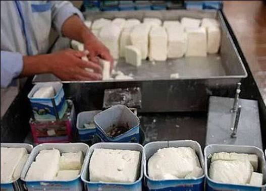 بازدید میدانی رئیس جهاد کشاورزی از سردخانه لیقوان برای رفع موانع تولید پنیر