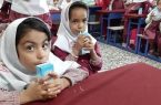 ۱۵ همت برای تغذیه رایگان مدارس / اعتبار ۲.۵ برابر شد، سفره مدارس دولتی رنگارنگ میشود